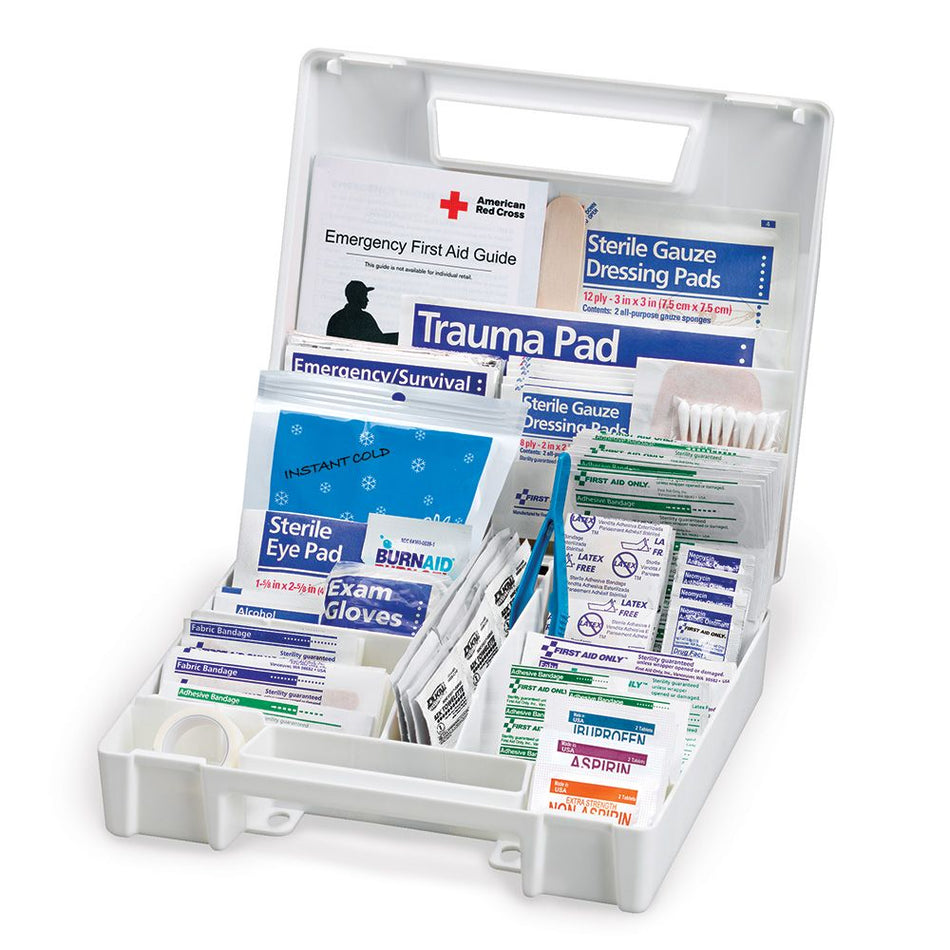 First Aid Kit, 199 Piece, Plastic Case