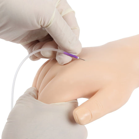 Anatomy Lab Venipuncture and IV Practice Arm Kit and Simulation Arm - CornellSurgical.com