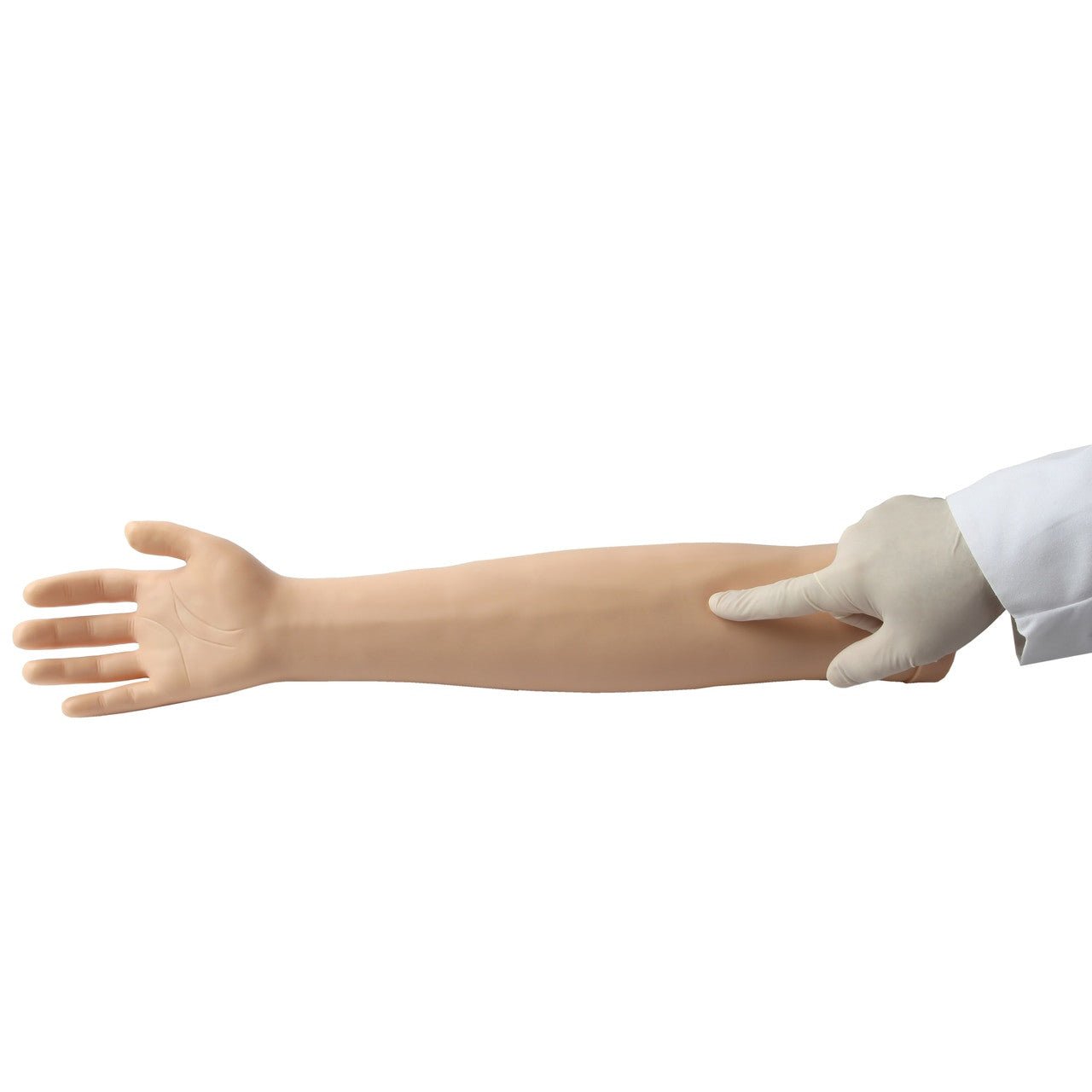 Anatomy Lab Venipuncture and IV Practice Arm Kit and Simulation Arm - CornellSurgical.com