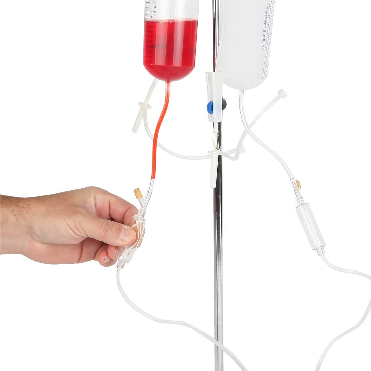 Anatomy Lab Venipuncture and IV Practice Arm Kit and Simulation Arm - CornellSurgical.com