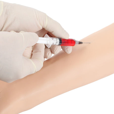 Anatomy Lab Venipuncture and IV Practice Arm Kit and Simulation Arm - CornellSurgical.com