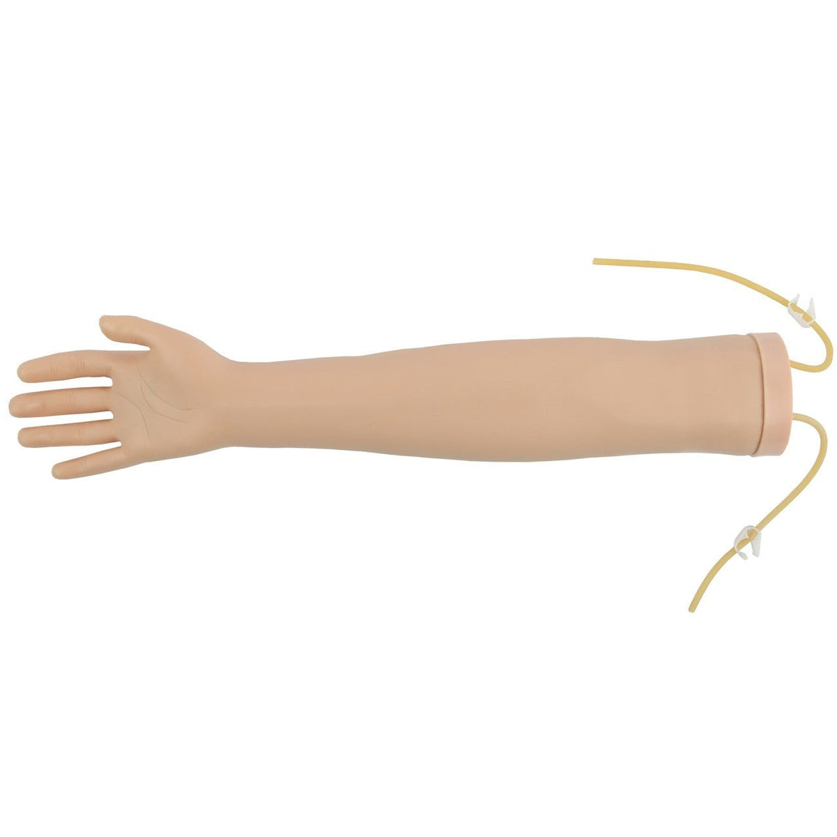 Anatomy Lab Venipuncture and IV Practice Arm Kit and Simulation Arm - CornellSurgical.com