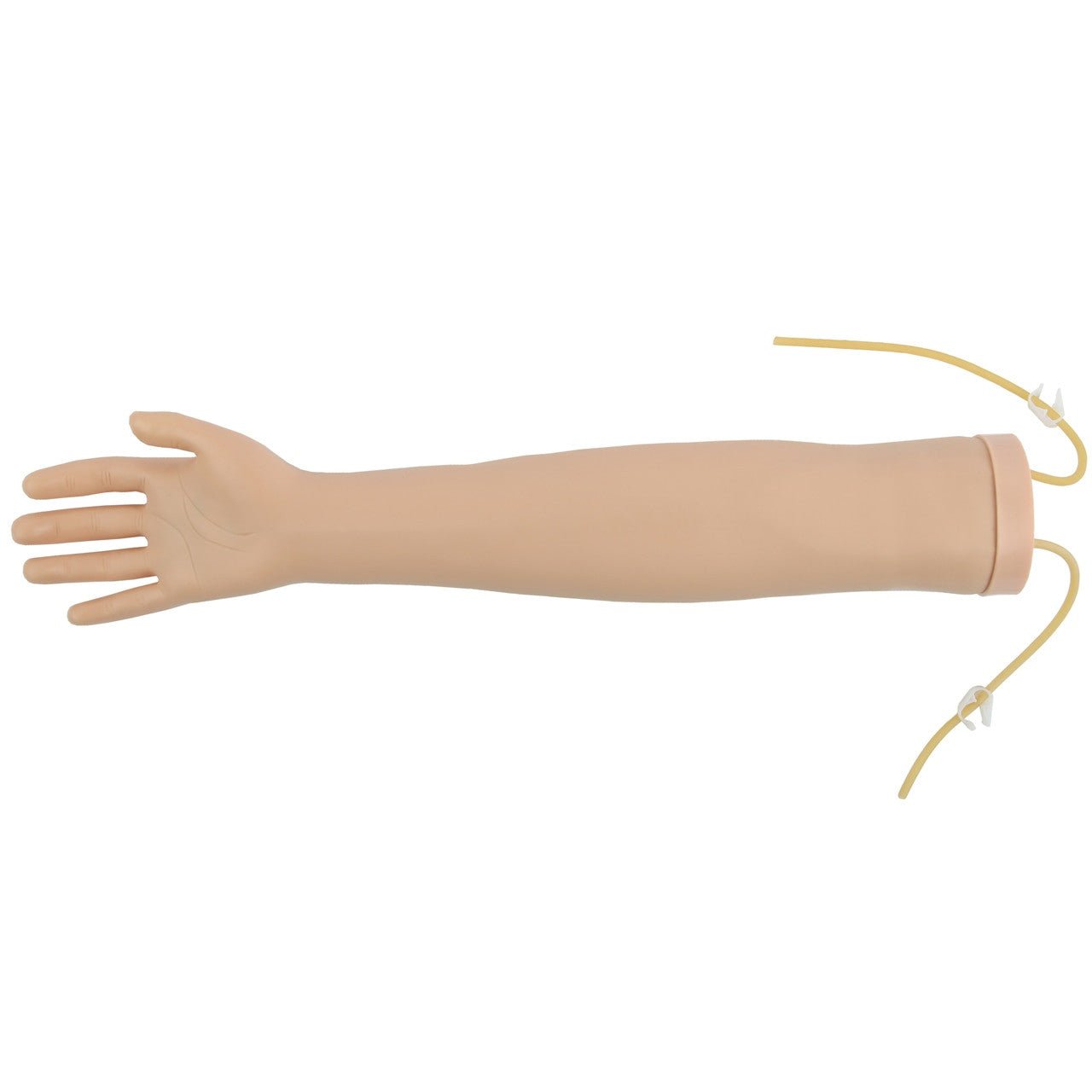 Anatomy Lab Venipuncture and IV Practice Arm Kit and Simulation Arm - CornellSurgical.com