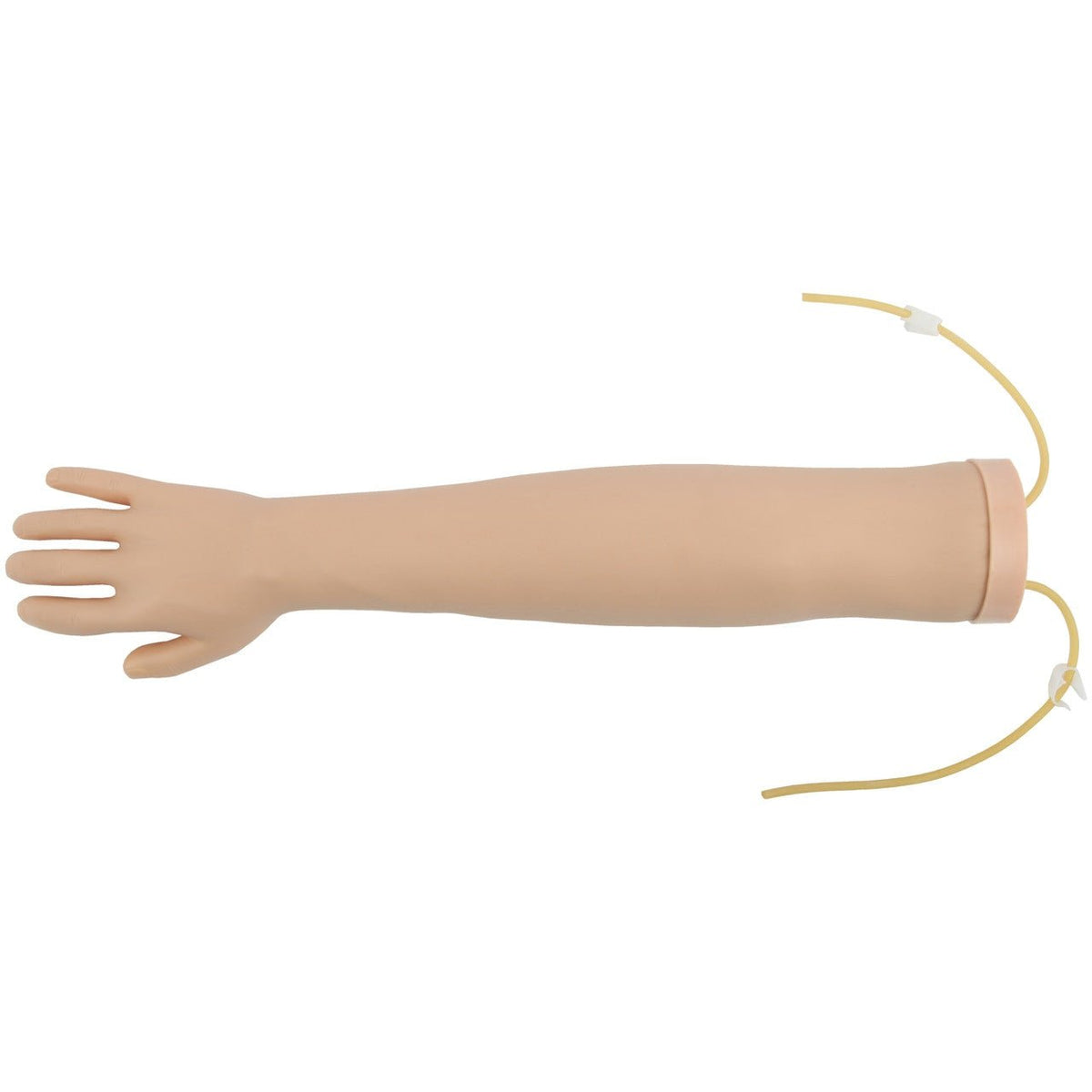 Anatomy Lab Venipuncture and IV Practice Arm Kit and Simulation Arm - CornellSurgical.com