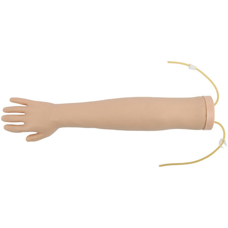 Anatomy Lab Venipuncture and IV Practice Arm Kit and Simulation Arm - CornellSurgical.com