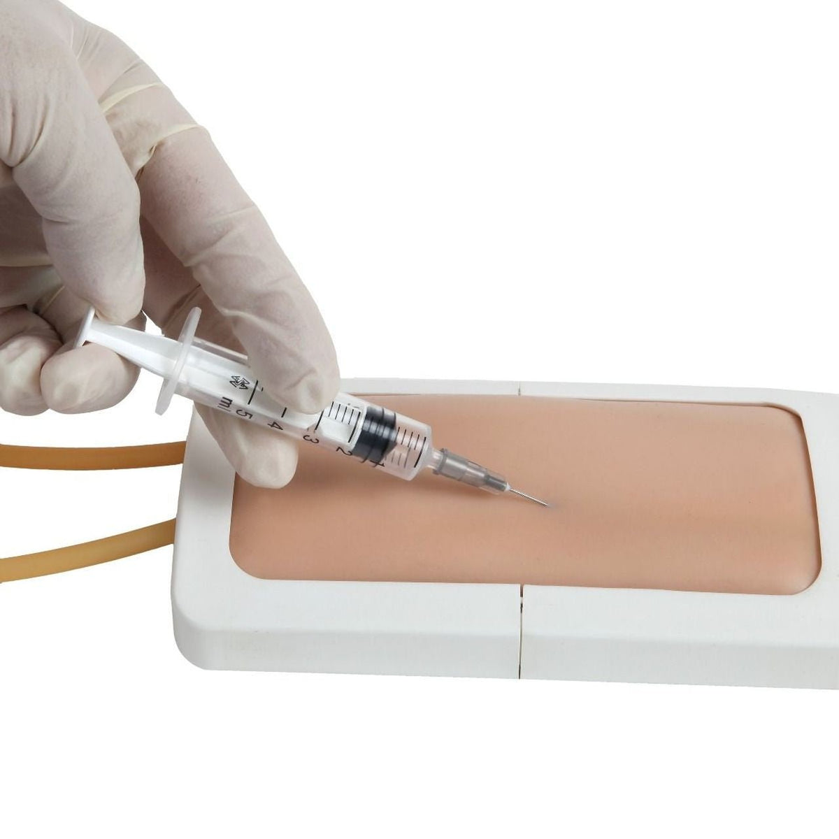 Anatomy Lab Venipuncture Pad - CornellSurgical.com