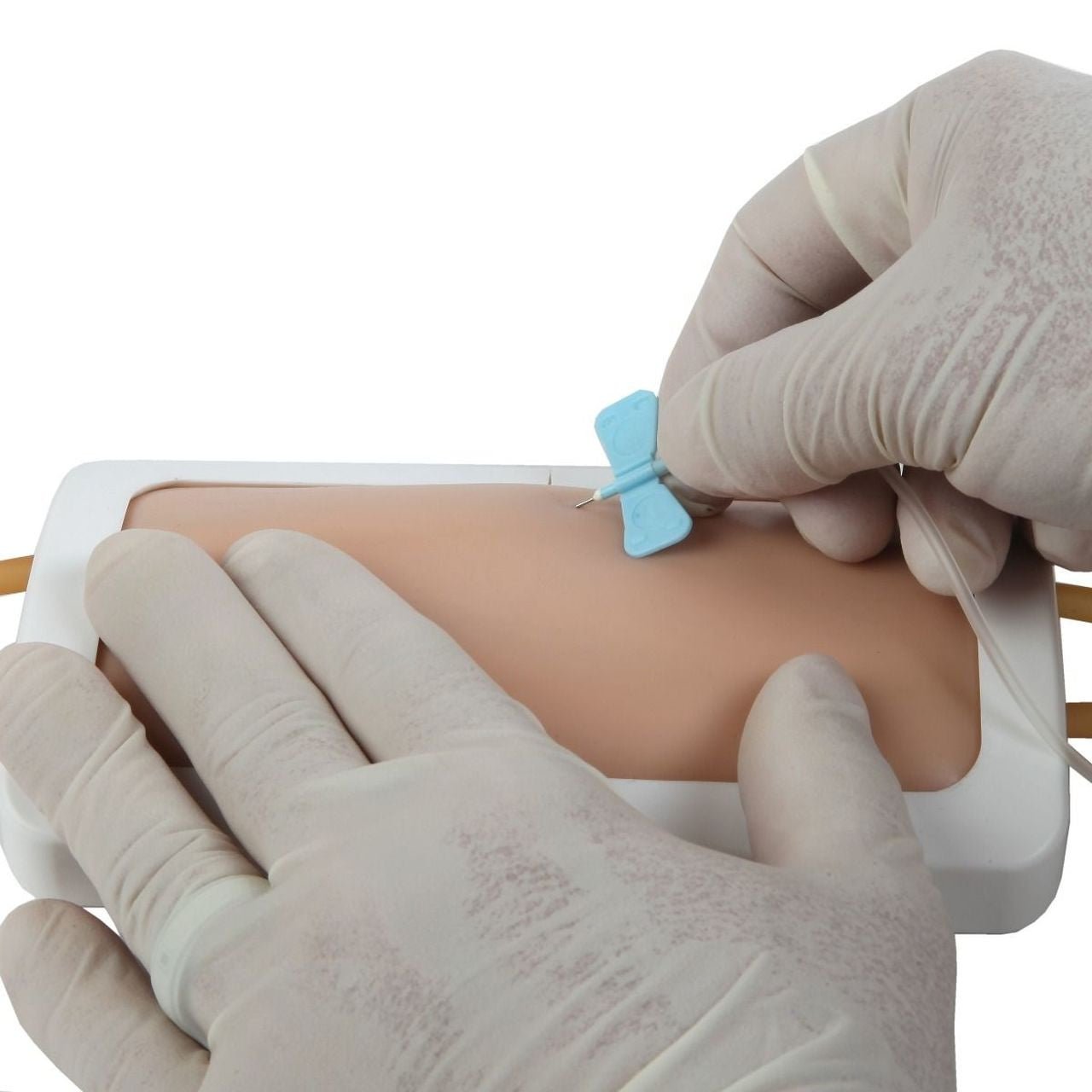 Anatomy Lab Venipuncture Pad - CornellSurgical.com
