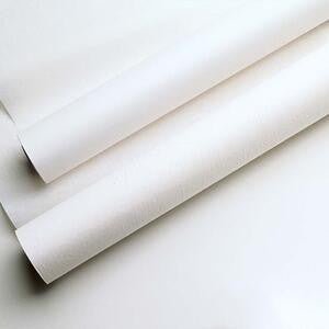 Exam Table Paper Barrier, Smooth, 18" - CornellSurgical.com