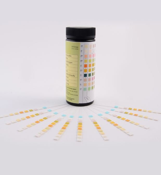 Rapid Response 10 Parameter Urinalysis Reagent Strip - CornellSurgical.com