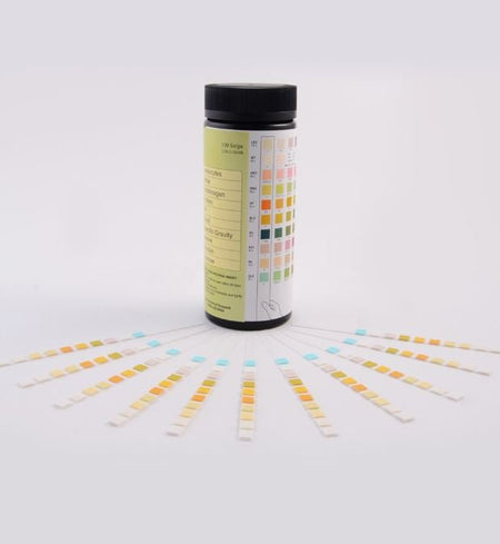 Rapid Response 10 Parameter Urinalysis Reagent Strip - CornellSurgical.com