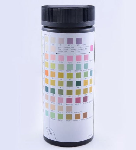Rapid Response 10 Parameter Urinalysis Reagent Strip - CornellSurgical.com