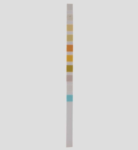 Rapid Response 10 Parameter Urinalysis Reagent Strip - CornellSurgical.com