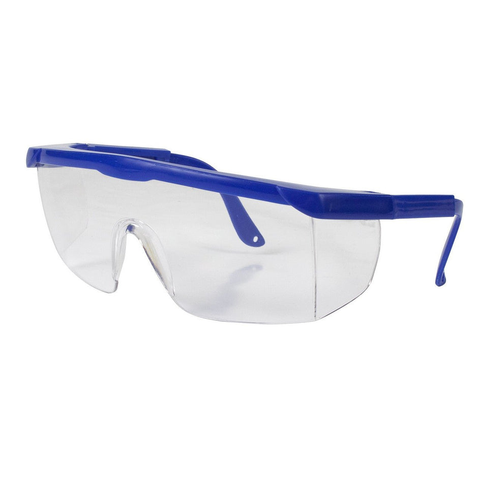 Safety Glasses, Blue - CornellSurgical.com